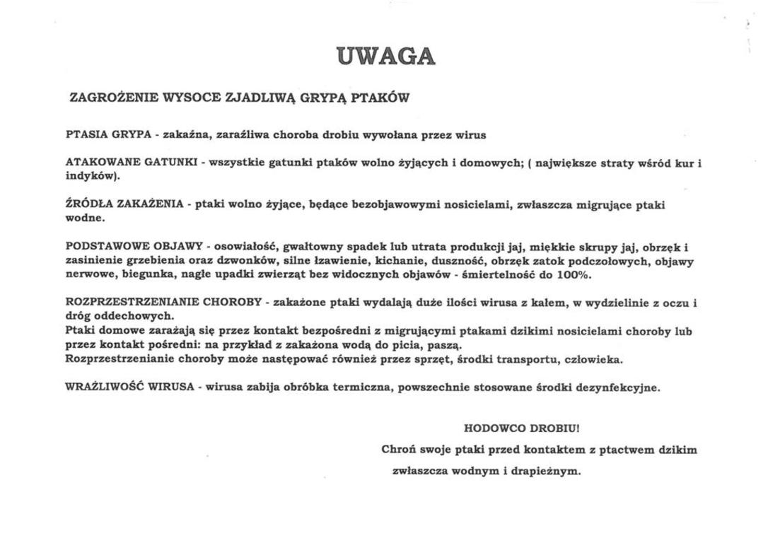 (link otworzy duże zdjęcie)
