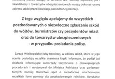 (link otworzy duże zdjęcie)