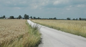 stan istniejący