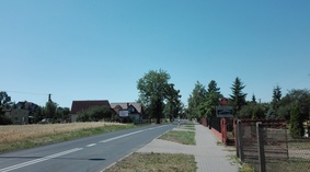 widok drogi Aleksandrów Kuj.-Stara Wieś po remoncie