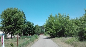 widok ulicy przed rozpoczęciem prac