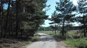 widok drogi przed rozpoczęciem prac