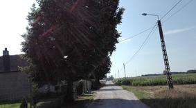 widok drogi przed rozpoczęciem prac