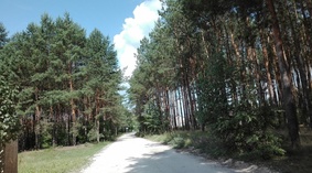 widok drogi przed rozpoczęciem prac