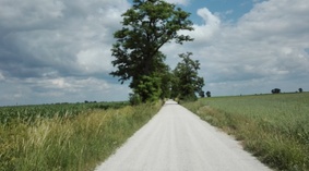 widok drogi przed przebudową