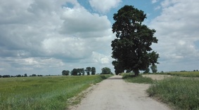 widok drogi przed przebudową