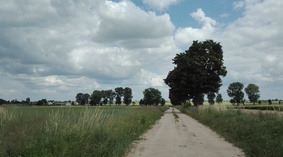 widok drogi przed przebudową