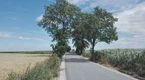 widok drogi po zakończeniu zadania