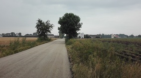 widok drogi przed rozpoczęciem prac