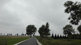 widok drogi po zakończeniu zadania