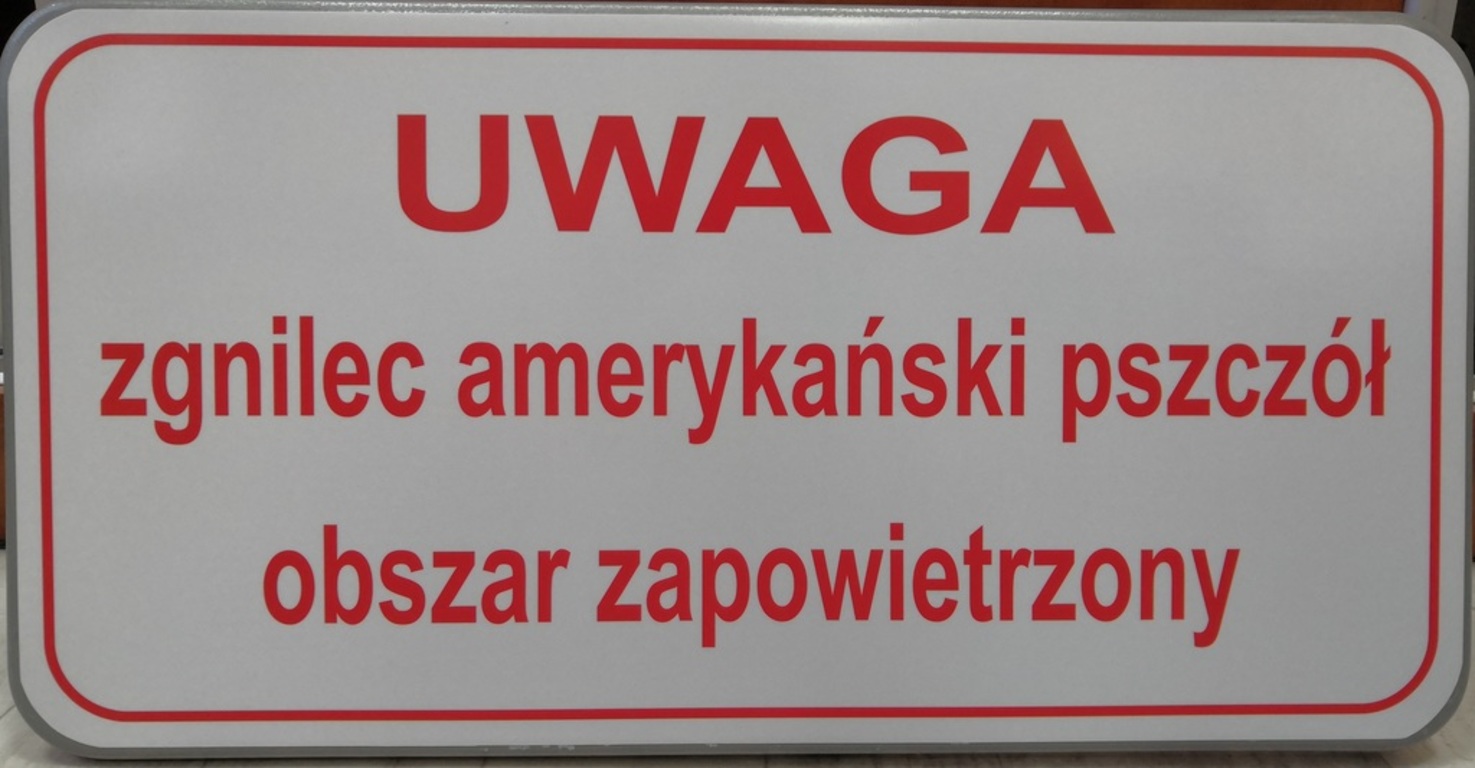 zgnilec.jpg