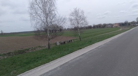 wzmacnianie poboczy kruszywem