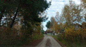 ul. Krokusowa 28.10.2022