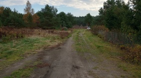 ul. Krokusowa 28.10.2022