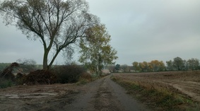 Przekazanie placu budowy.