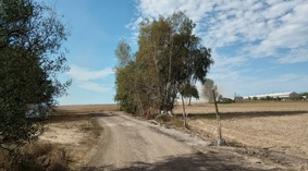Wytyczenie i profilowanie istniejącej nawierzchni na odcinku od km 0+692 do km 1+677