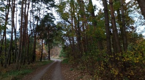 widok drogi gminnej 28.10.2022