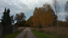 widok drogi gminnej 28.10.2022