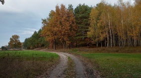 widok drogi gminnej 28.10.2022