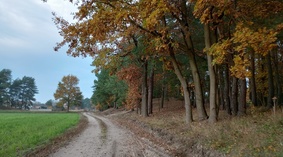 widok drogi gminnej 28.10.2022
