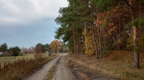 widok drogi gminnej 28.10.2022