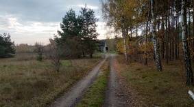 ul. Liliowa widok drogi dnia 28.10.2022