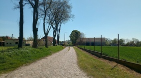 Stan istniejący w dniu przekazania placu budowy.