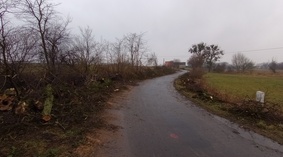 Wycinka drzew wzdłuż pasa drogowego.