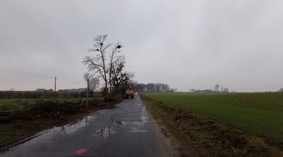 Wycinka drzew wzdłuż pasa drogowego.