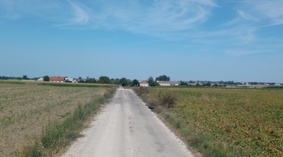 Stan istniejący na dzień przekazania placu budowy.