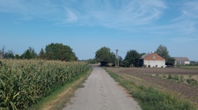 Stan istniejący na dzień przekazania placu budowy.