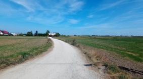Stan drogi na dzień przekazania placu budowy.