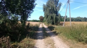 Stan drogi na dzień przekazania placu budowy.