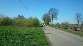 prace porządkowe