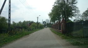 wycinka krzaków