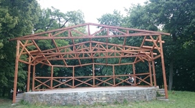 szkielet muszli