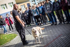 Gminny Dzień Profilaktyki dla Szkół