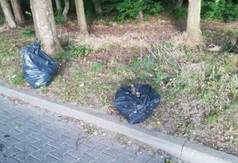 Prace porządkowe i inwentaryzacja drzew we władysławowskim parku