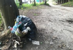 Prace porządkowe i inwentaryzacja drzew we władysławowskim parku