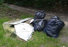 Prace porządkowe i inwentaryzacja drzew we władysławowskim parku
