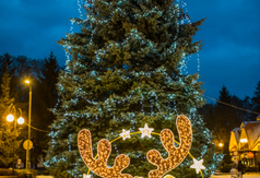 Nowe iluminacje świąteczne ozdobiły Gminę Władysławowo