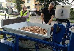 Kwiatowe dywany przyozdobiły Władysławowo