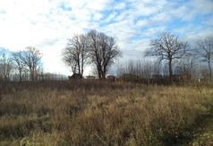 Sprzedaż nieruchomości - Władysławowo (ul. Jachtowa)