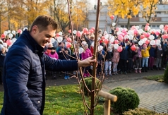 Niepodległościowe drzewo przy SP3 zasadzone