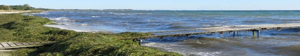 Gmina partnerem projektu Coastal Biogas
