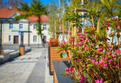 Nowa jakość ulicy Hallera