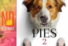 Kino na leżakach, Władysławowo 2021 - Był sobie pies 2