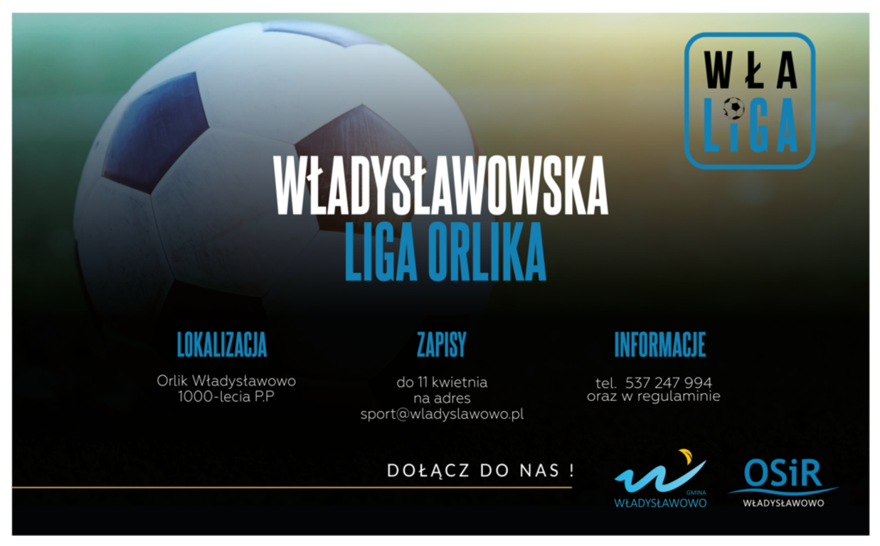 WŁA Liga - baner WŁA Liga - baner