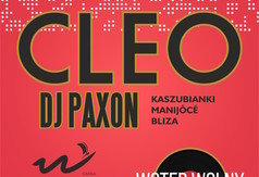 Festyn Rodzinny w Chłapowie - CLEO (koncert)