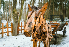 Atrakcyjny wygląd i nowe funkcje Parku Miejskiego - zdjęcie 8